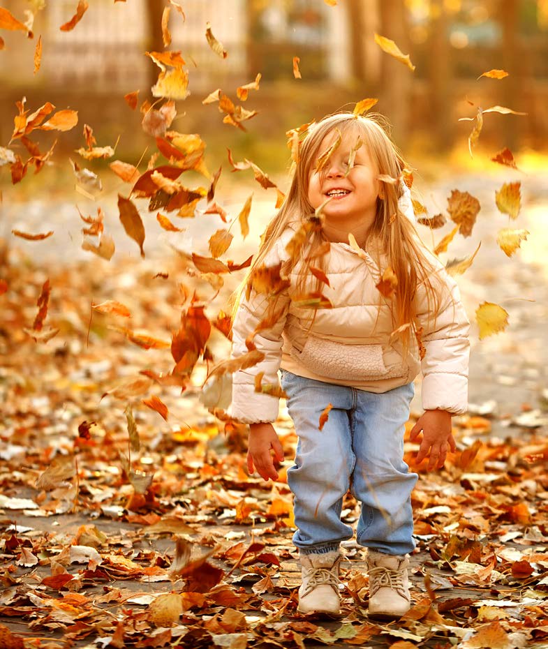 Our Fall Update is Here!